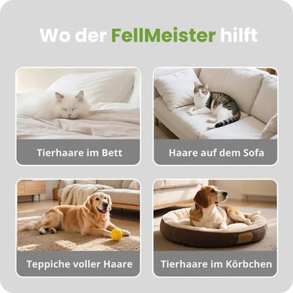 FellMeister™